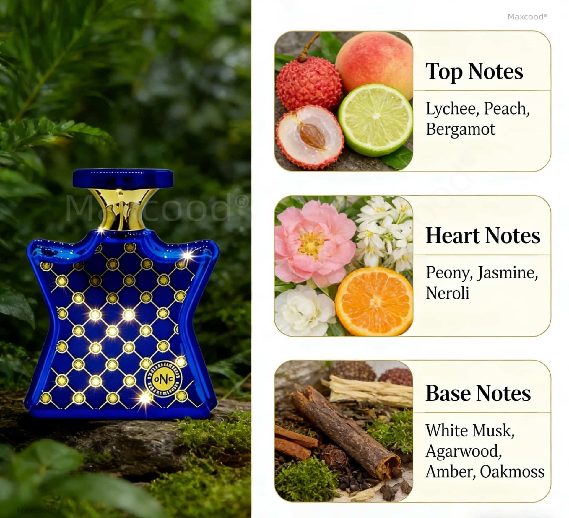 Perfume Cítrico y Floral de La - You Perfume Fragrance reseña y precio